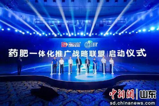 中国新闻网报道金正大集团